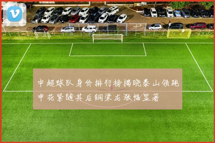 中超球队身价排行榜揭晓泰山领跑申花紧随其后铜梁龙涨幅显著