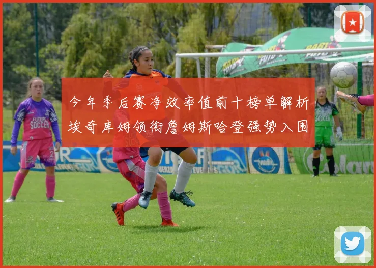 今年季后赛净效率值前十榜单解析埃奇库姆领衔詹姆斯哈登强势入围