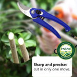 garden-tools-scissors